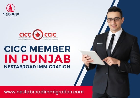 CICC Member in Punjab | Nestabroad Immigration