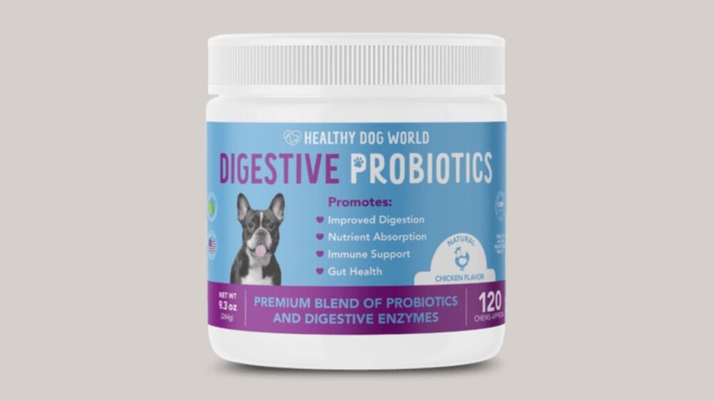 Why Probiotic Supplements Are Vital For Senior Dogs' Health? | FACTOFIT