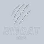 bigcat cúe Profile Picture