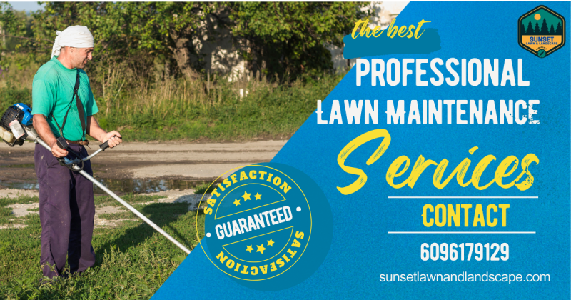 What Benefits Will You Get from Hiring a Snow Removal Company?: sunset_lawn — LiveJournal