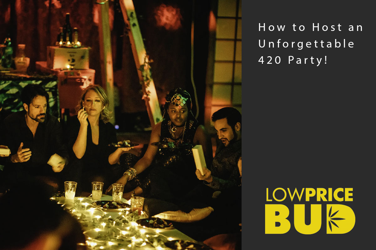 How to Host an Unforgettable 420 Party! - Low Price Bud