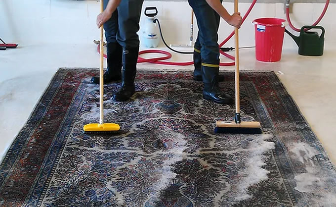 Albuquerque Carpet Care | Carpet Cleaning Service