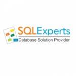 SQL Experts Inc Profile Picture