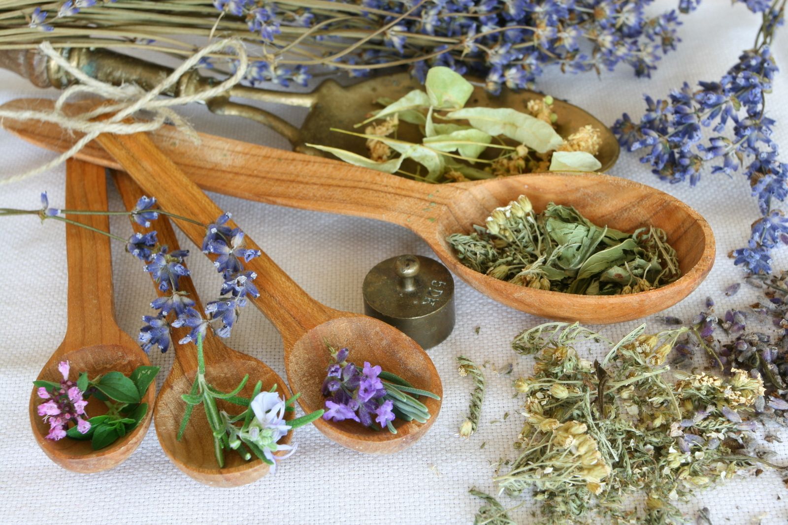 From Ancient Wisdom to Modern Men: Unani Medicine’s Role in Holistic Health – Site Title