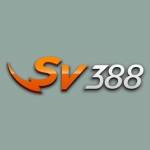 sv388expert Profile Picture