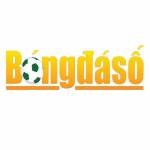 Bóng bongdaso_net Profile Picture