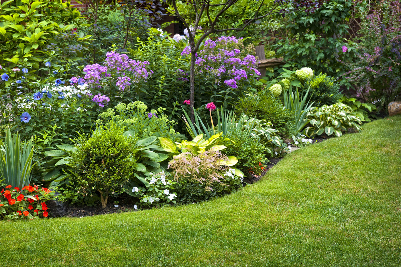 Tips for Creating a Stunning Garden with Perennial Plants