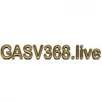 gasv368 live Profile Picture