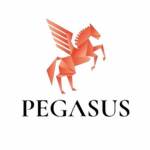 pegasusfunding Profile Picture