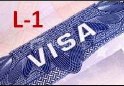 L1 Visa to Green Card – Understand These Facts | TechPlanet