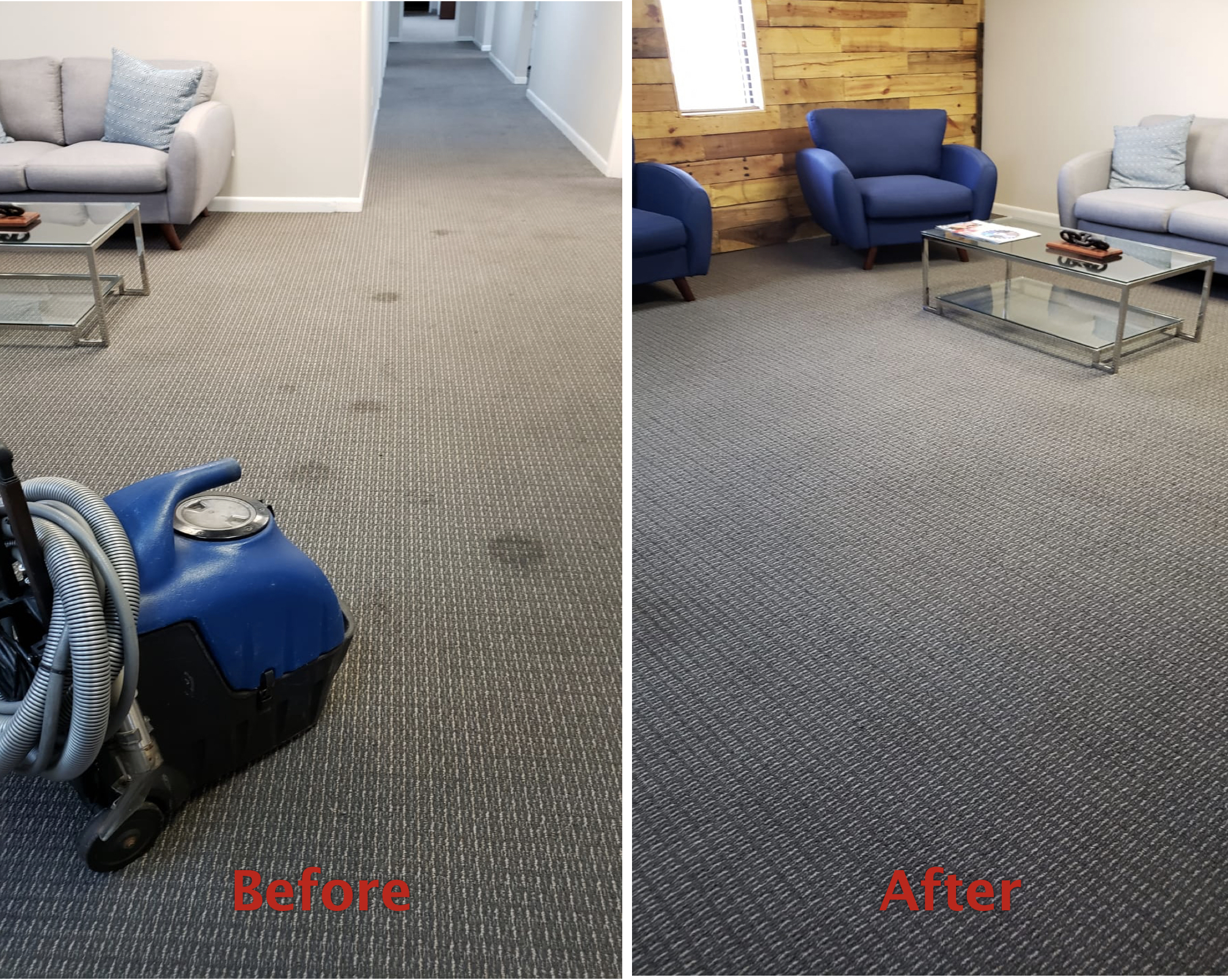 Commercial Carpet Cleaning Services | All Building Cleaning Corp