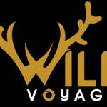Wild Voyager Profile Picture