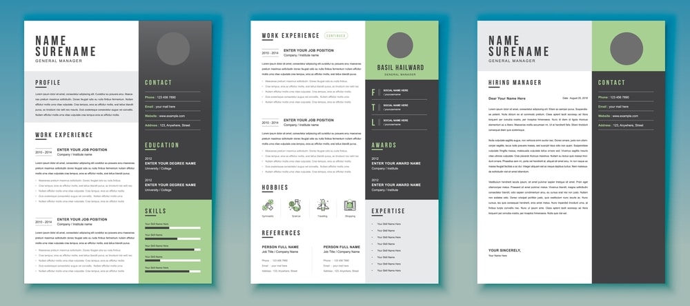 Best Resume Format Examples for Freshers: | Ultimate Guide