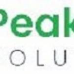 peakppc solutions Profile Picture