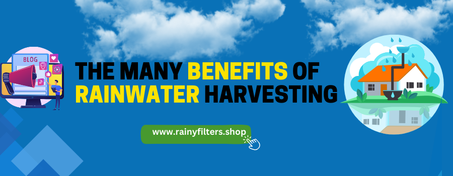 Raindrops to Resilience: The many Benefits of rainwater harvesting  – Rainy Filters