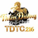 TDTC Thiên đường trò chơi Profile Picture