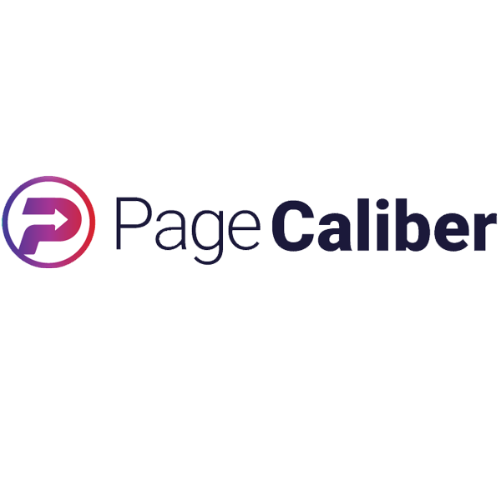 Best Digital Marketing Agency in India | Page Caliber