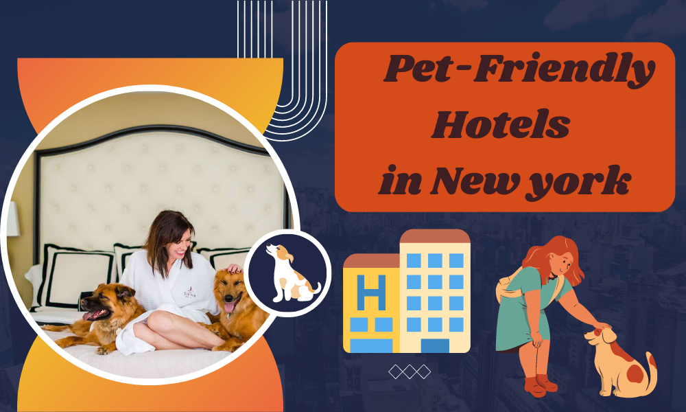 Pet-Friendly Hotels In New York (Best in 2023)