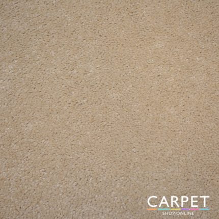 Carpetshoponline on Tumblr: The Ultimate Guide to Finding Your Perfect Carpet Shop Online