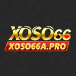 Xoso66 Pro Profile Picture
