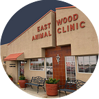 What Is Kennel Cough and What Are the Best Treatments? | by Eastwood Animal Clinic | Apr, 2024 | Medium