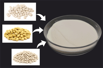 Amino Acid Liquid Fertilizer Manufacturer – JINGFENG
