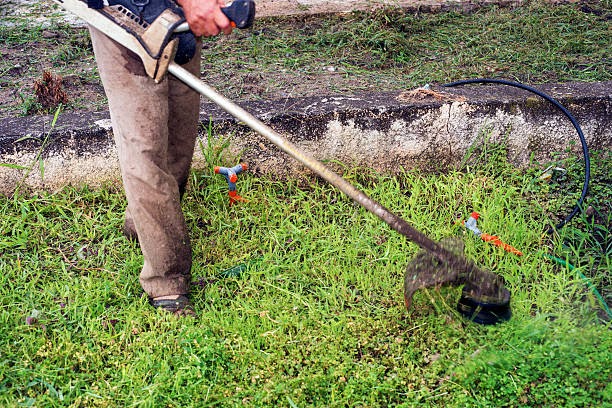 Transform Your Landscape: The Top Benefits of Hiring a Professional Stump Grinding Sydney