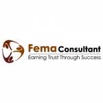 FEMA Consultant Profile Picture