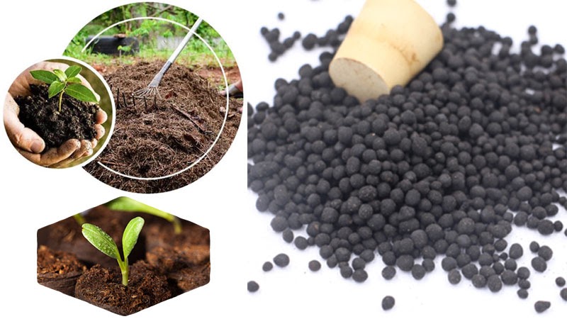 Using Humic Acid For Plants For Better Agricultural Yield