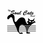 The Soul Cats Band Cats Band Profile Picture