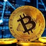 Bitcoin Bank Breaker Profile Picture