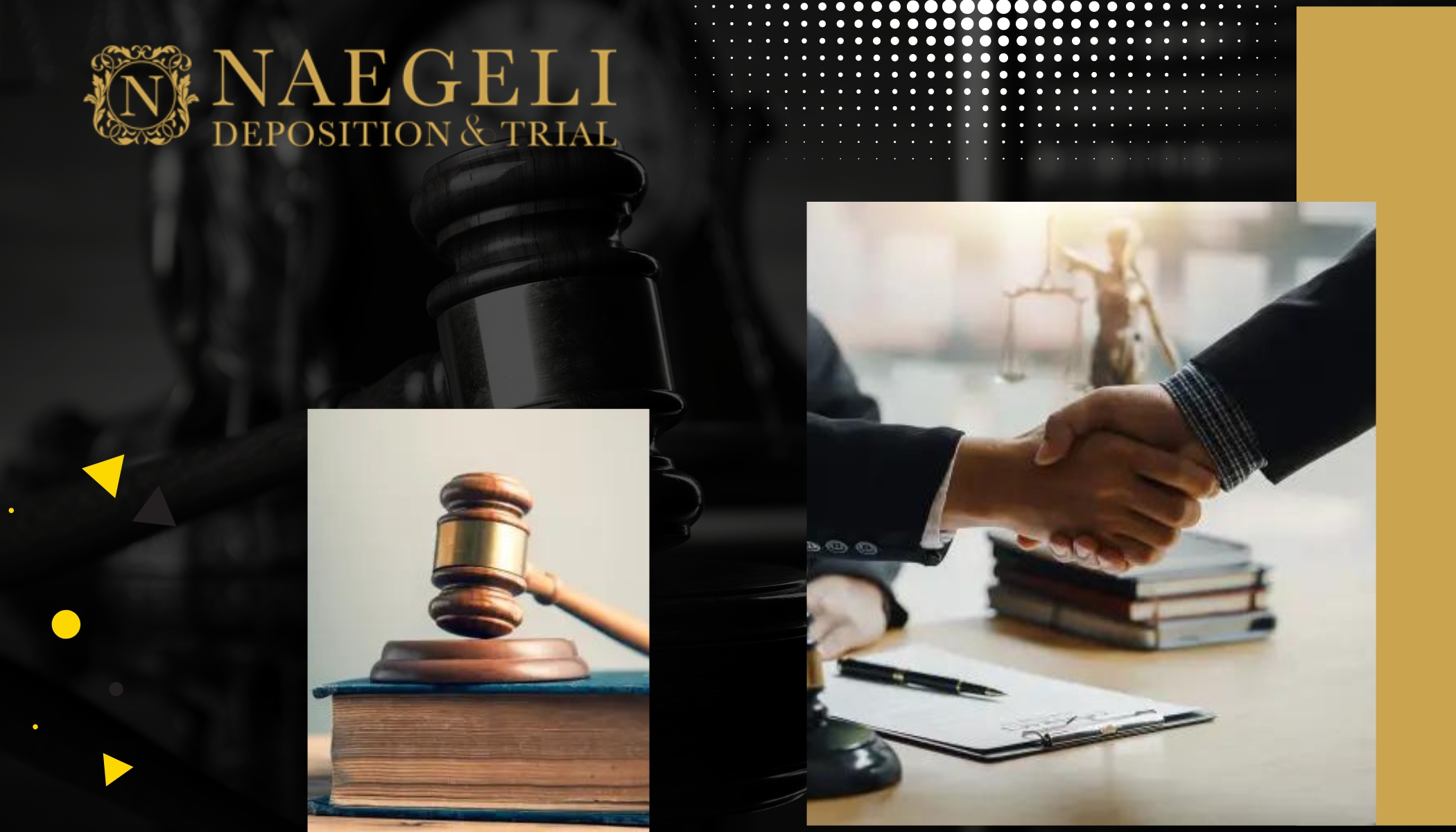 NAEGELI DEPOSITION TRIAL Cover Image