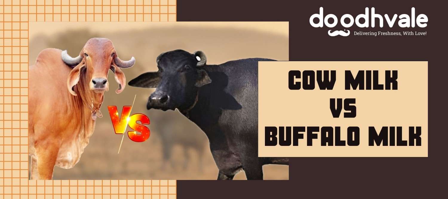 Cow Milk vs Buffalo Milk, Not So Tough a Choice?