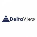 DeltaView Technologies Profile Picture