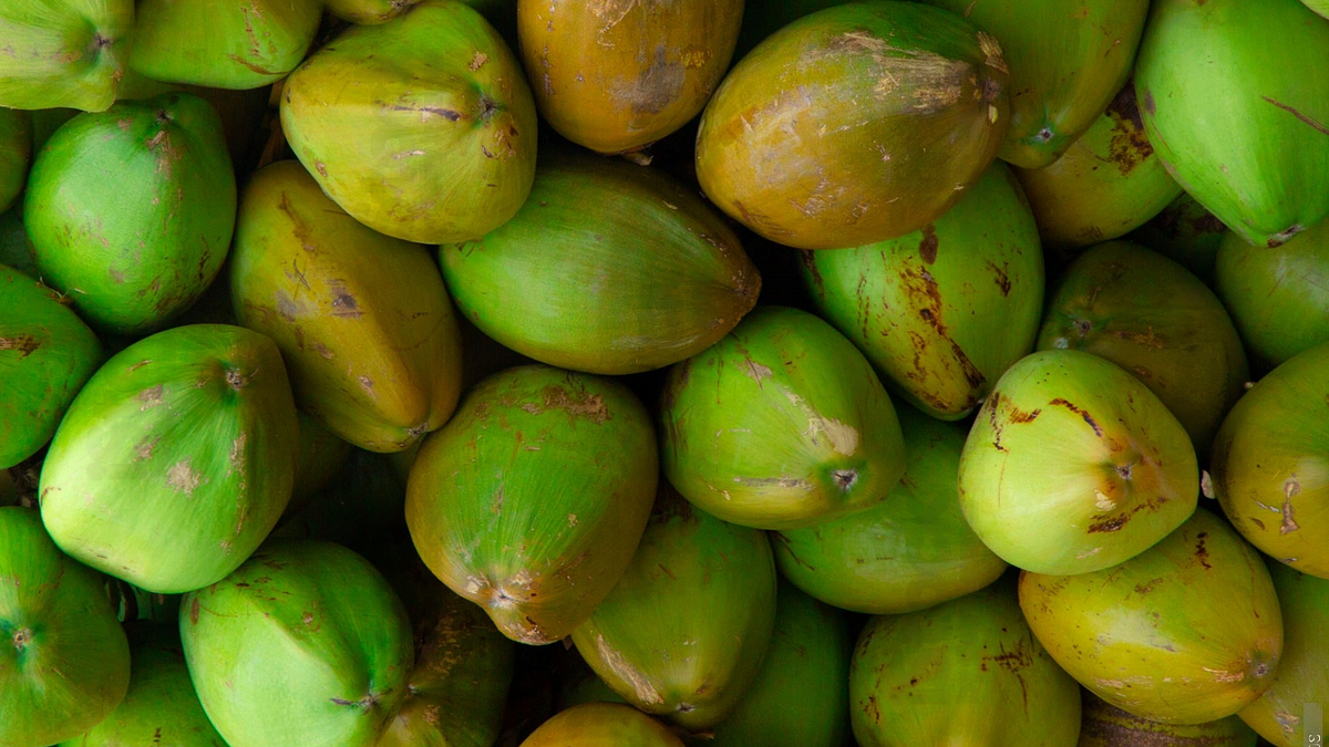 Bangalore’s Finest Coconut Suppliers and Distributors | by Coconut Mashkiri | Apr, 2024 | Medium