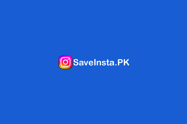 Instagram Downloader - Download Instagram Video, Reels, Story, Photo, IGTV online - SaveInsta.PK