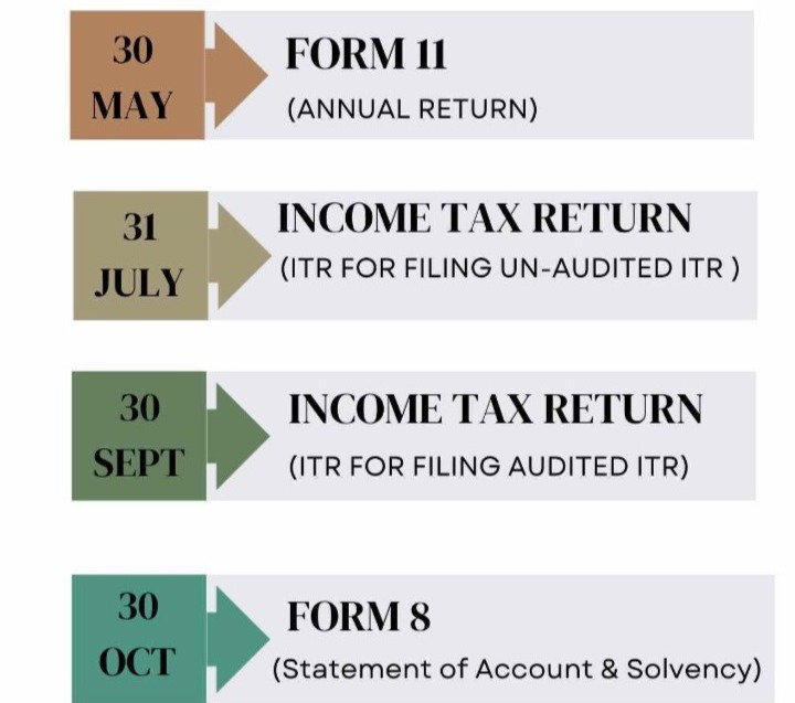 Limited Liability Partnership (LLP) Annual Filing