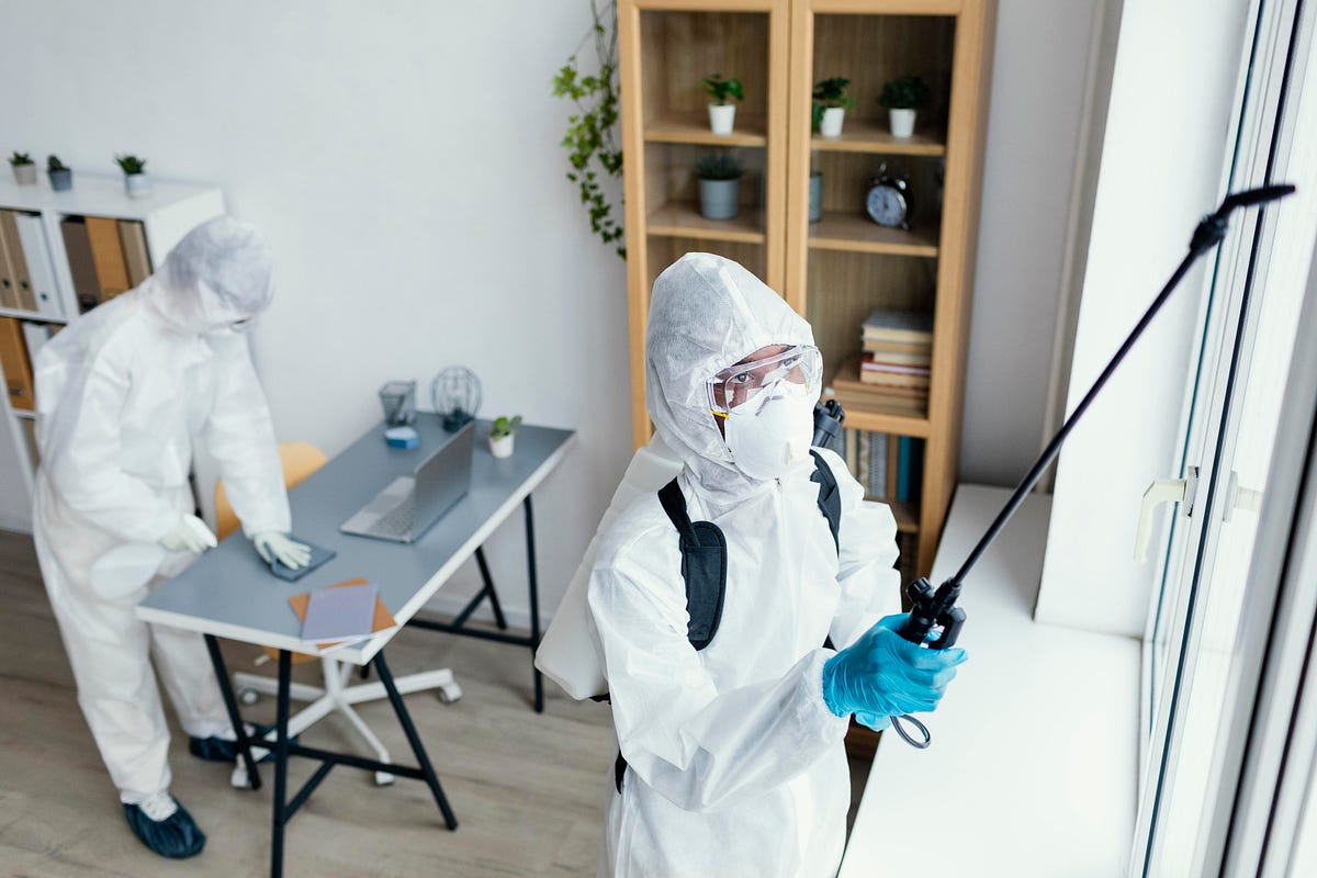 Pest Control Services In The UK: The Ultimate Guide