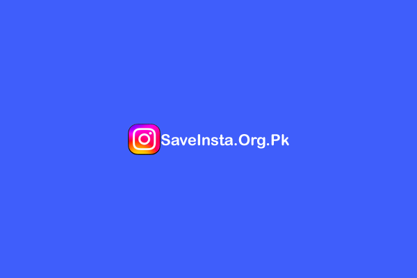 Saveinsta | Instagram Video Downloader, Reels, Story, Photo, IGTV