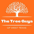Expert Hazardous Tree Removal: Ensure Safety and Beauty with The Tree Guys of West Texas