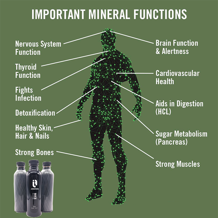 Grasp The Differences Between Humic Acid And Fulvic Acid | TechPlanet