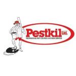Pestkil Profile Picture