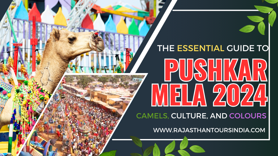 The Essential Guide To Pushkar Mela 2024: Camels, Culture, And Colours