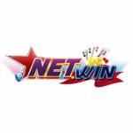 NET WIN Profile Picture