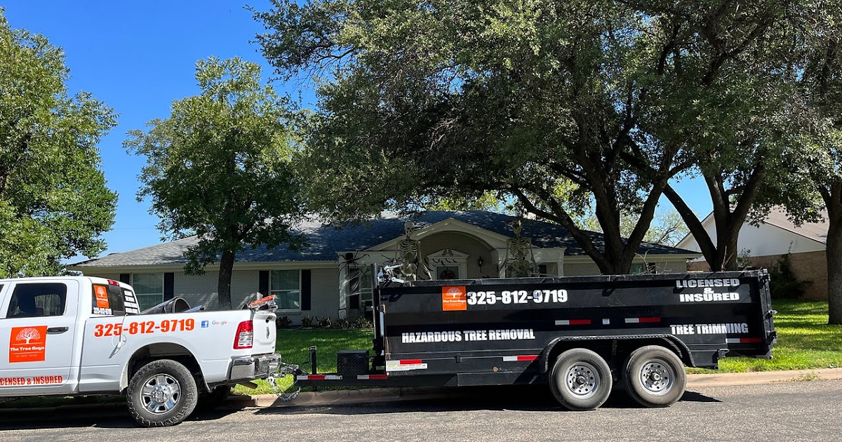San Angelo's Tree Whisperers: Insides of The Tree Service Sector