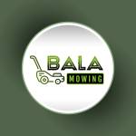 Bala Mowing Profile Picture