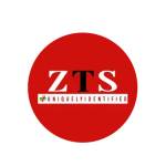 ZTS Infotech Pvt Ltd Profile Picture