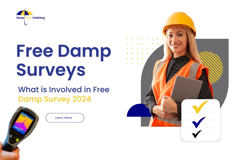 What is Involved in Free Damp Survey 2024