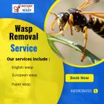 Wasp Removal Profile Picture