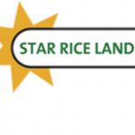 STAR RICE LAND Profile Picture